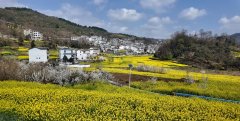 全面提拔区域客居承载能力取办事